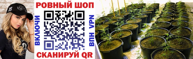 Как найти закладки Краснообск Кокаин А ПВП Гашиш ТГК Мефедрон