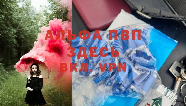 эйфоретик Баксан