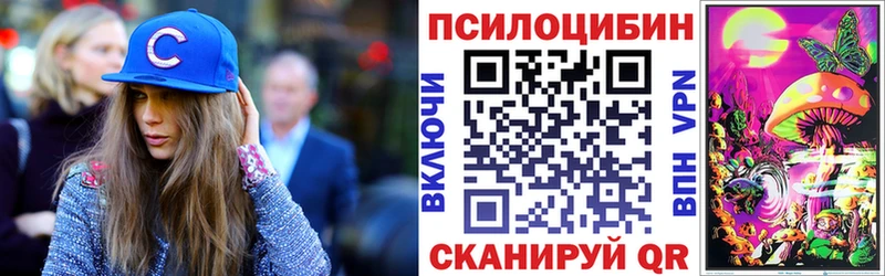 Псилоцибиновые грибы Psilocybe  купить   Краснообск 